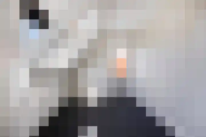 Vierambachtsweg 5 Woubrugge thumbnail 20