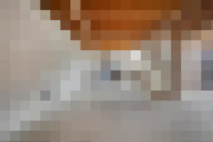 Vierambachtsweg 5 Woubrugge thumbnail 26