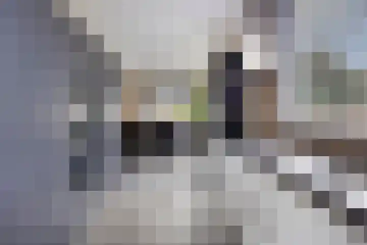 Vierambachtsweg 5 Woubrugge thumbnail 4
