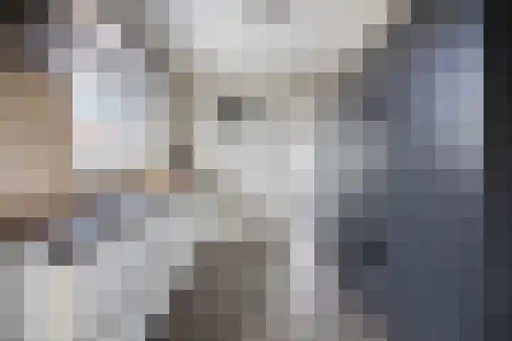 Vierambachtsweg 5 Woubrugge thumbnail 5
