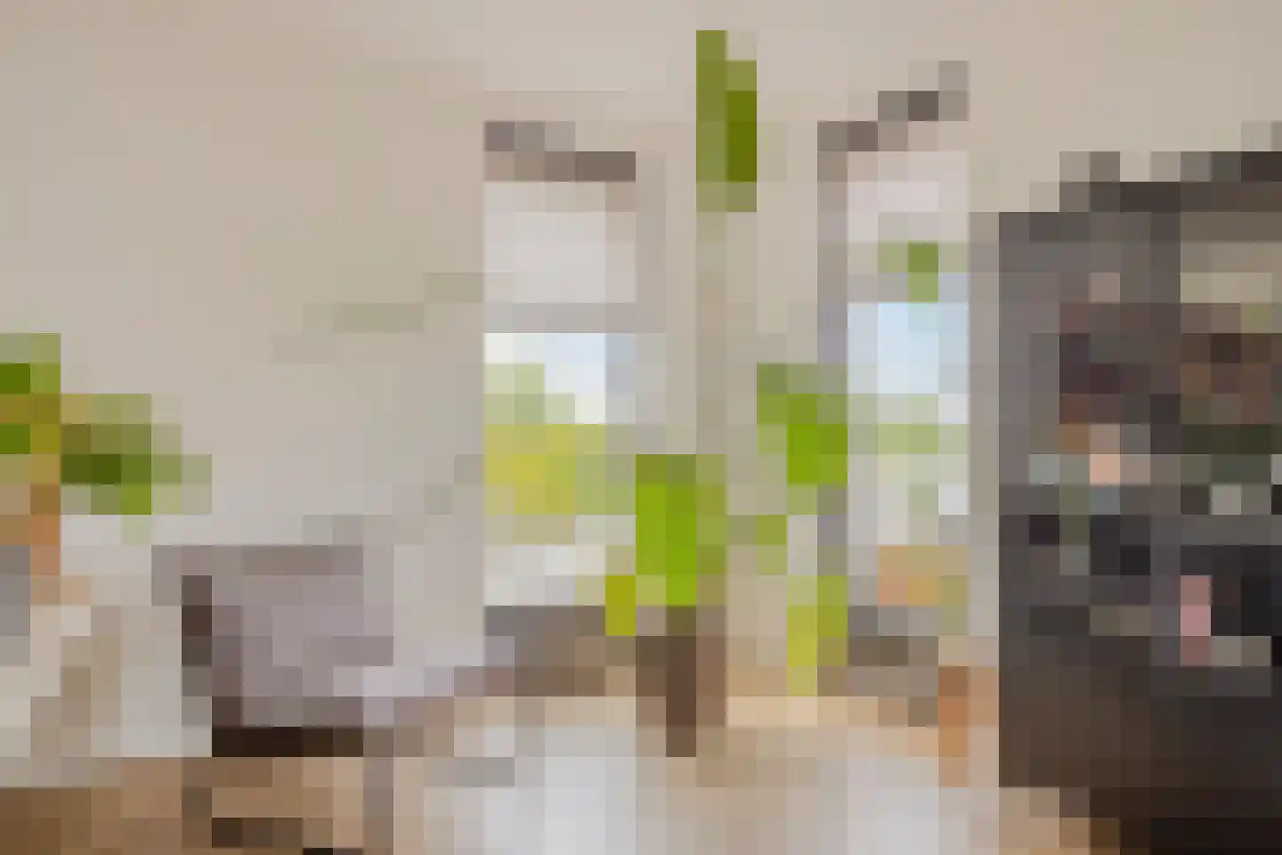 Vierambachtsweg 87 Woubrugge thumbnail 16