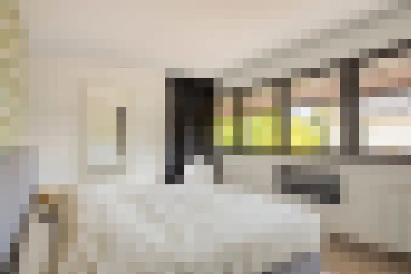 Vierambachtsweg 87 Woubrugge thumbnail 35