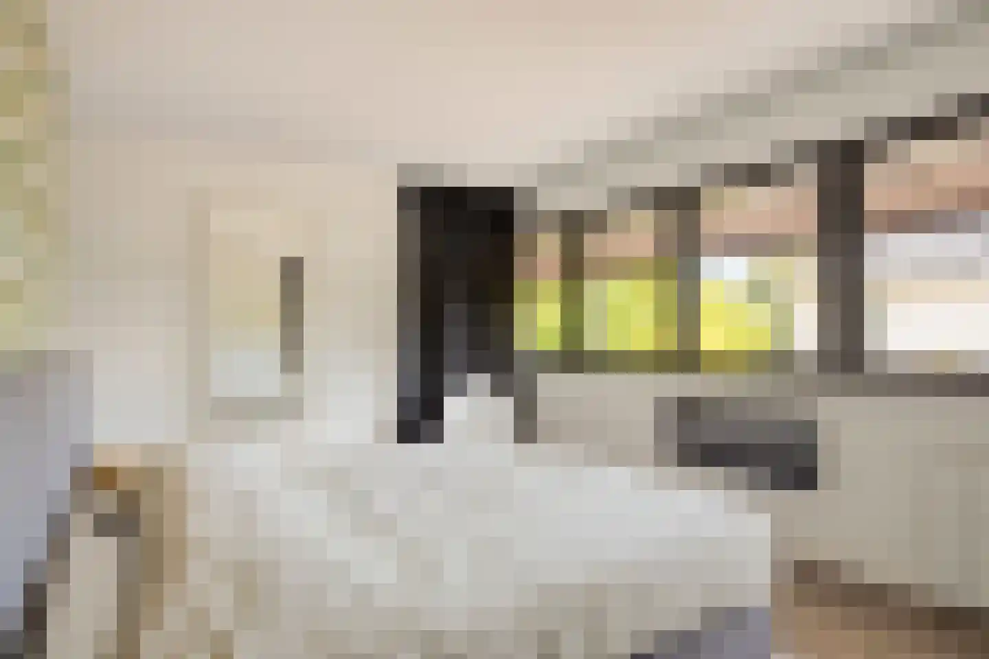 Vierambachtsweg 87 Woubrugge thumbnail 35
