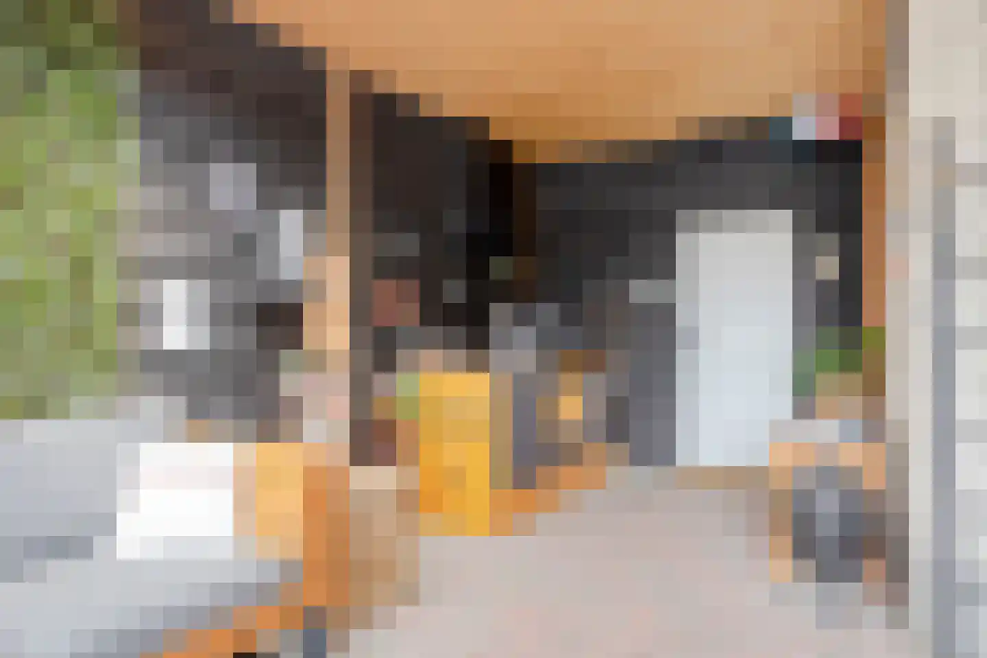 Vierambachtsweg 87 Woubrugge thumbnail 56