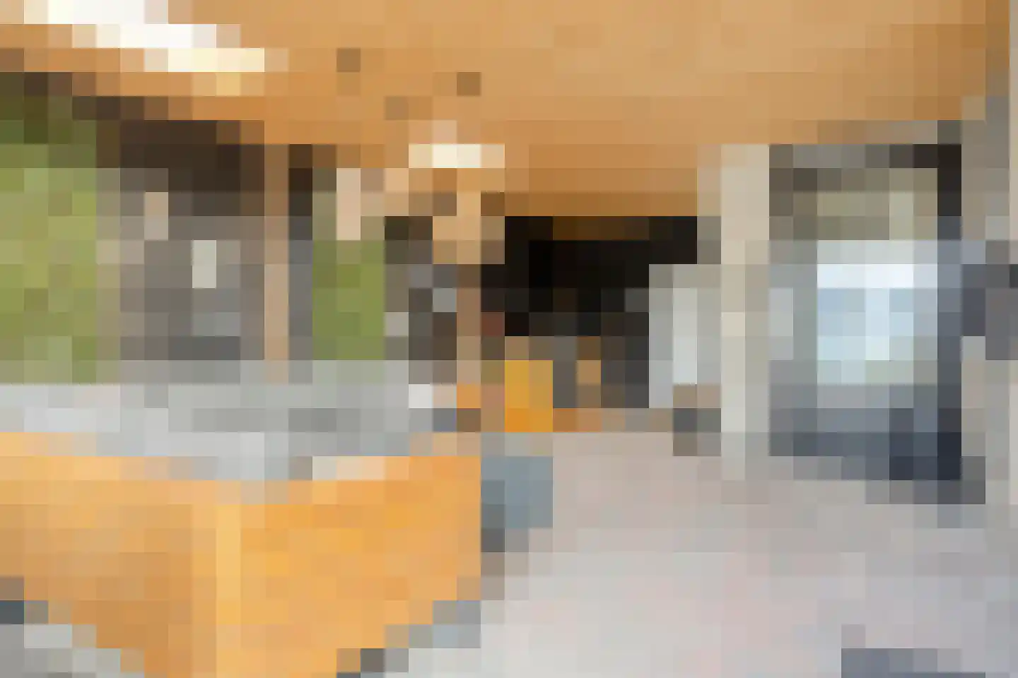 Vierambachtsweg 87 Woubrugge thumbnail 57