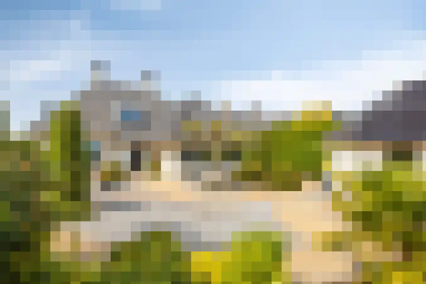 Vierambachtsweg 87 Woubrugge thumbnail 6