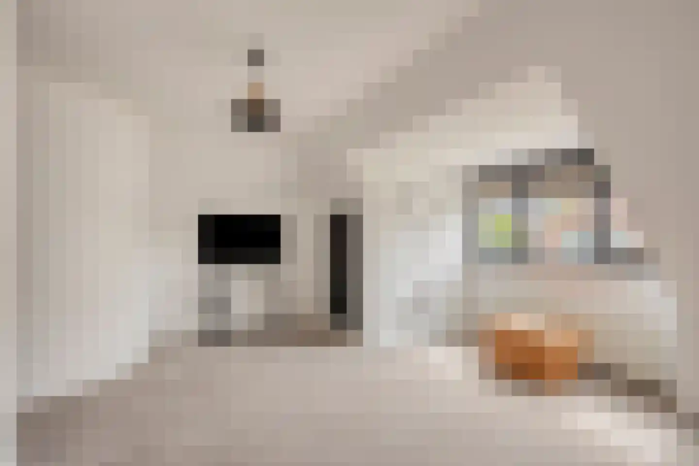 Vierambachtsweg 87 Woubrugge thumbnail 67