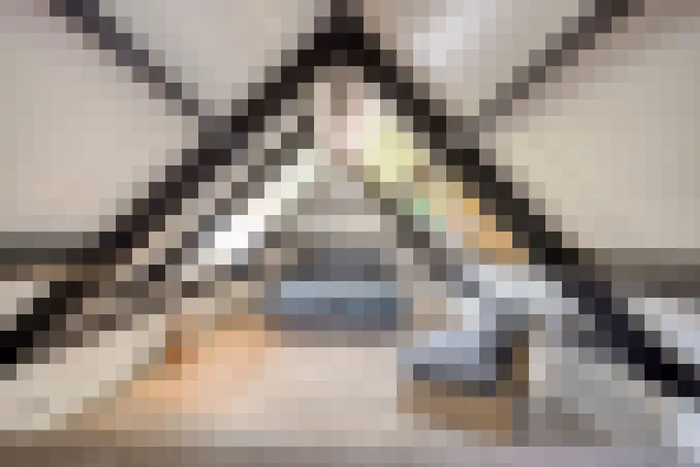 Vierambachtsweg 87 Woubrugge thumbnail 78