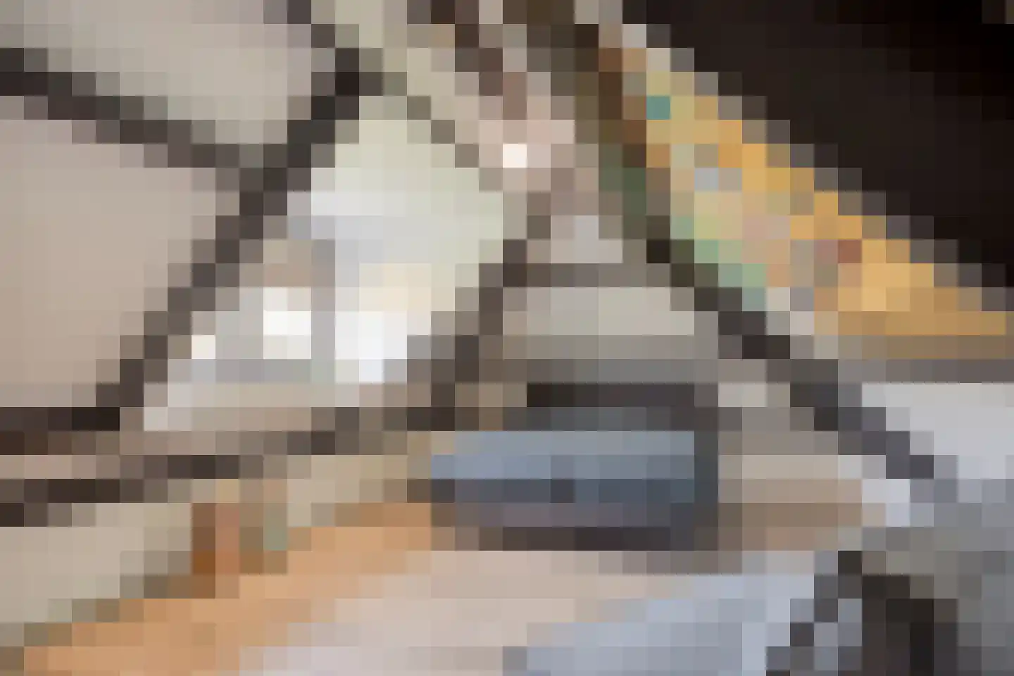 Vierambachtsweg 87 Woubrugge thumbnail 79