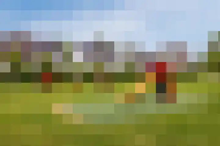 Vierasser 100 Hellevoetsluis thumbnail 33