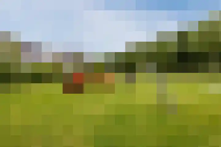 Vierasser 100 Hellevoetsluis thumbnail 34