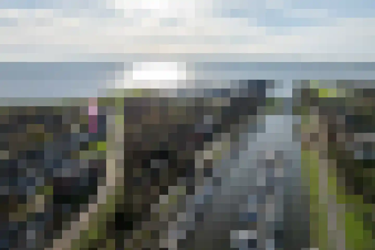 Vierasser 3 Hellevoetsluis thumbnail 4