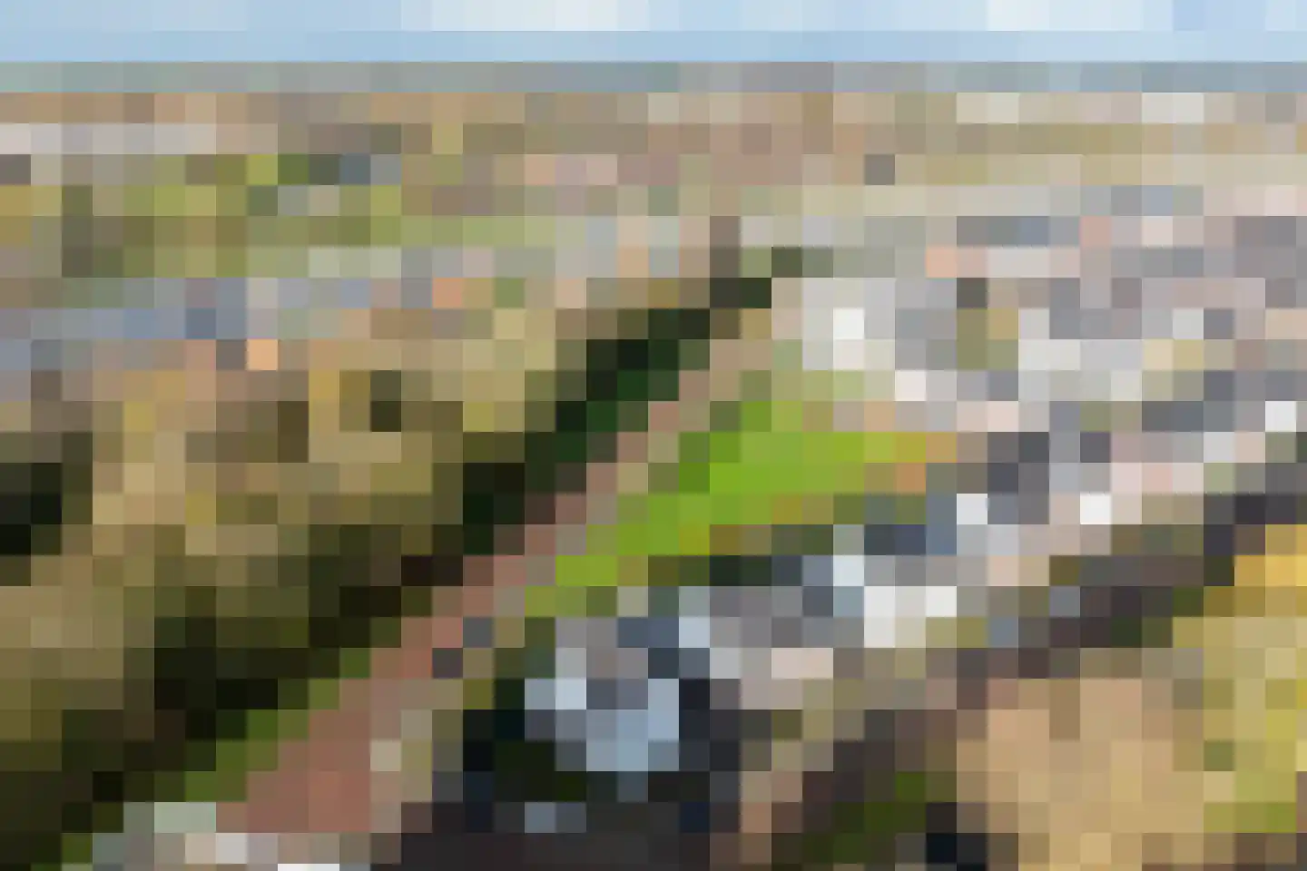 Vierasser 3 Hellevoetsluis thumbnail 58