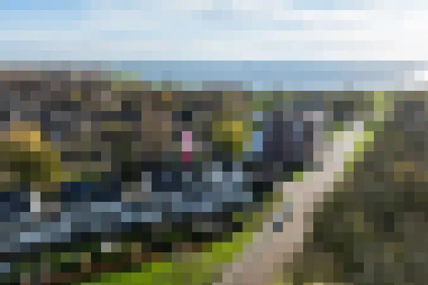 Vierasser 3 Hellevoetsluis thumbnail 6
