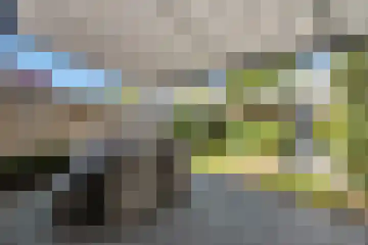 Vierasser 31 Hellevoetsluis thumbnail 23