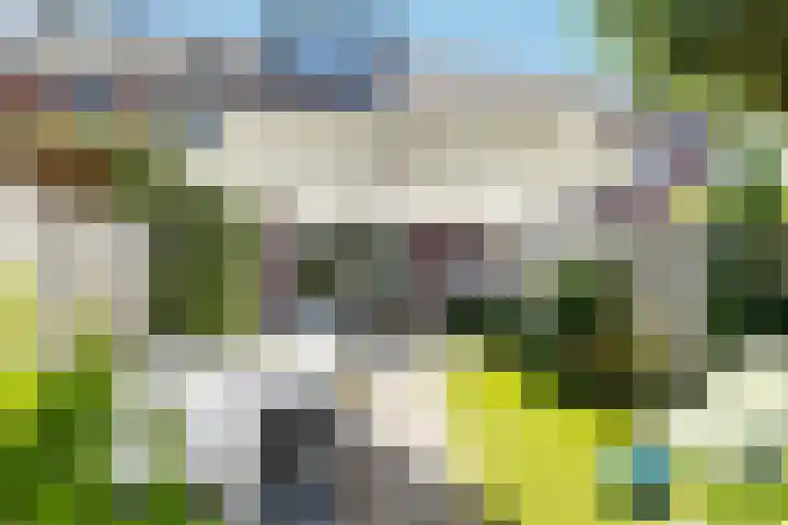 Vierasser 31 Hellevoetsluis thumbnail 6