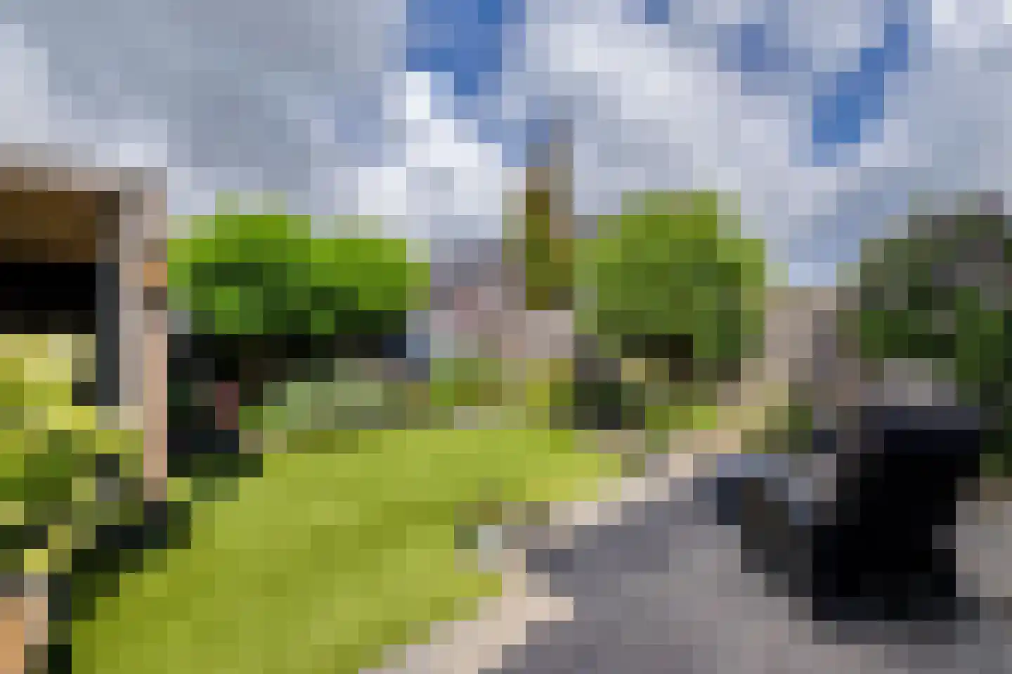 Vierasser 61 Hellevoetsluis thumbnail 5