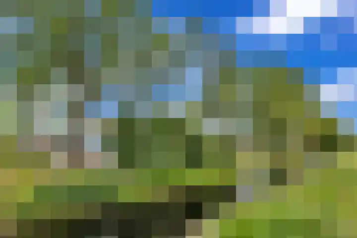 Vierasser 83 Hellevoetsluis thumbnail 10
