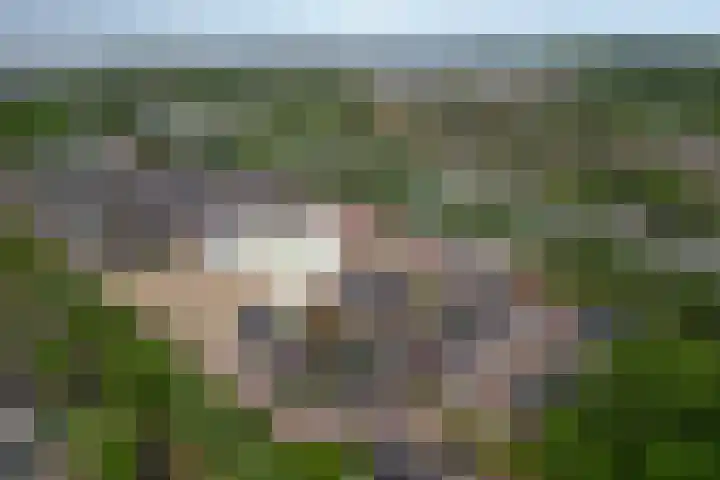 Vierasser 83 Hellevoetsluis thumbnail 6