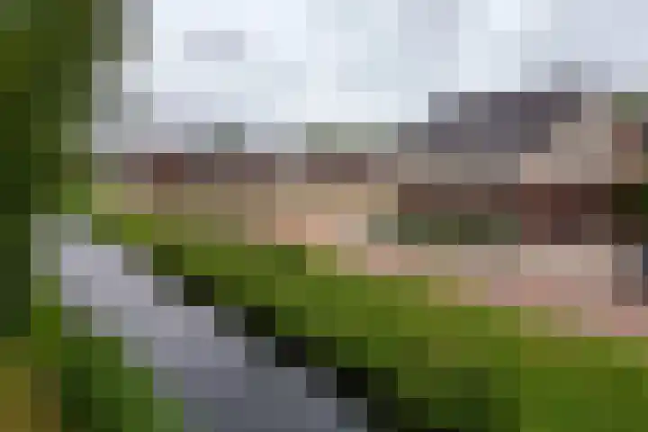 Vierasser 83 Hellevoetsluis thumbnail 7