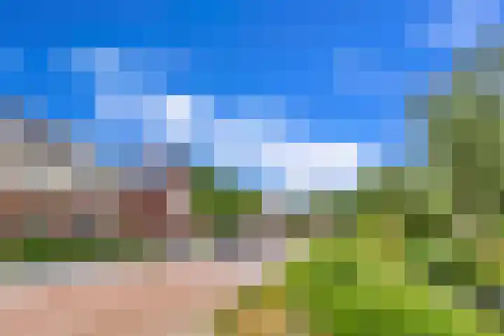 Vierasser 83 Hellevoetsluis thumbnail 9
