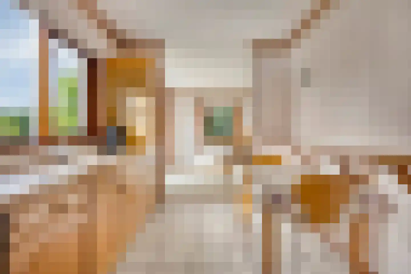 Vierbannenstraat 7 Nieuwerkerk thumbnail 23