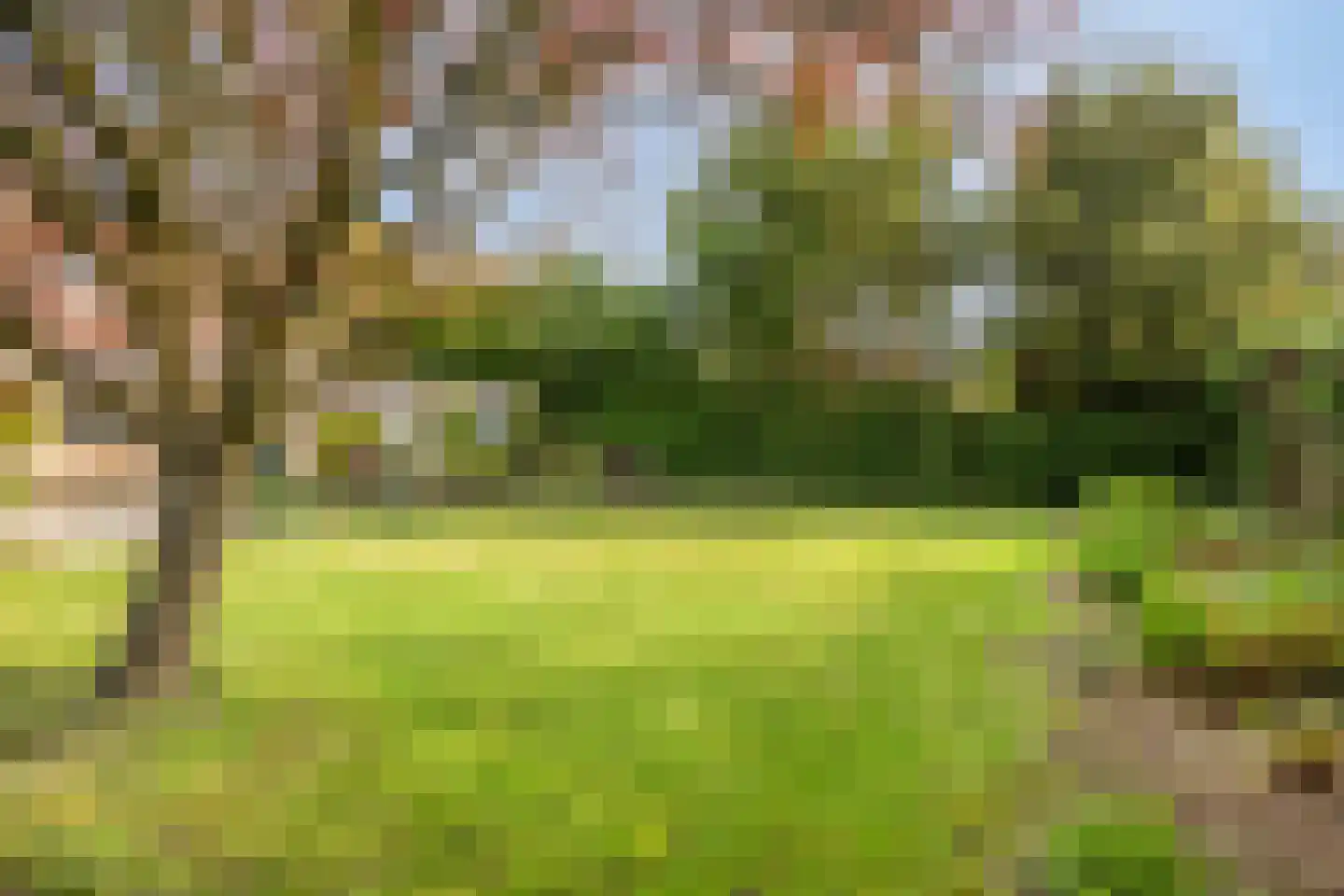 Vierbannenstraat 7 Nieuwerkerk thumbnail 41