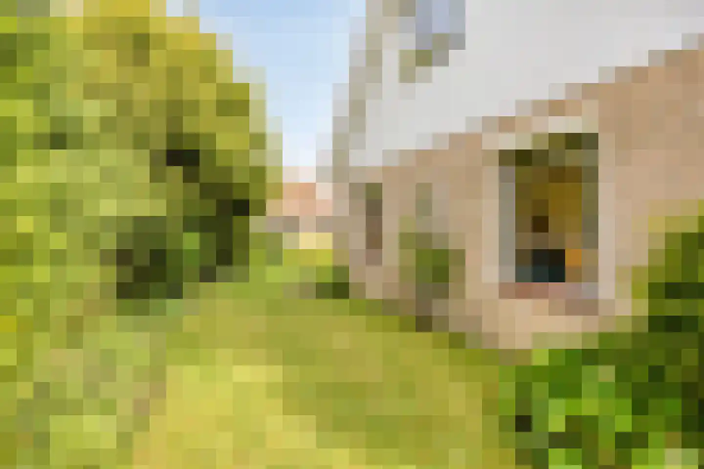 Vierbannenstraat 7 Nieuwerkerk thumbnail 44