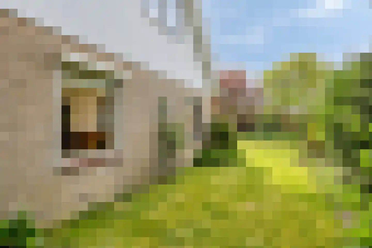 Vierbannenstraat 7 Nieuwerkerk thumbnail 45