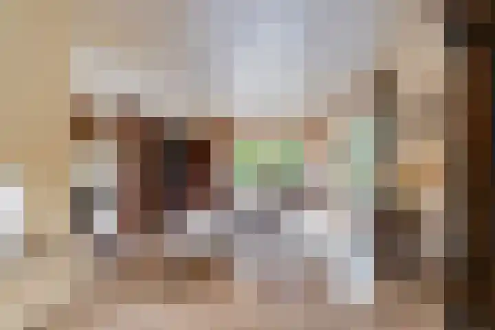 Vierbanse Gantel 3 Tilburg thumbnail 14