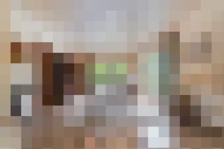 Vierbanse Gantel 3 Tilburg thumbnail 15