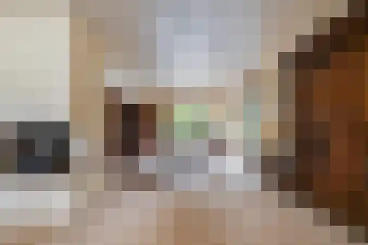 Vierbanse Gantel 3 Tilburg thumbnail 16