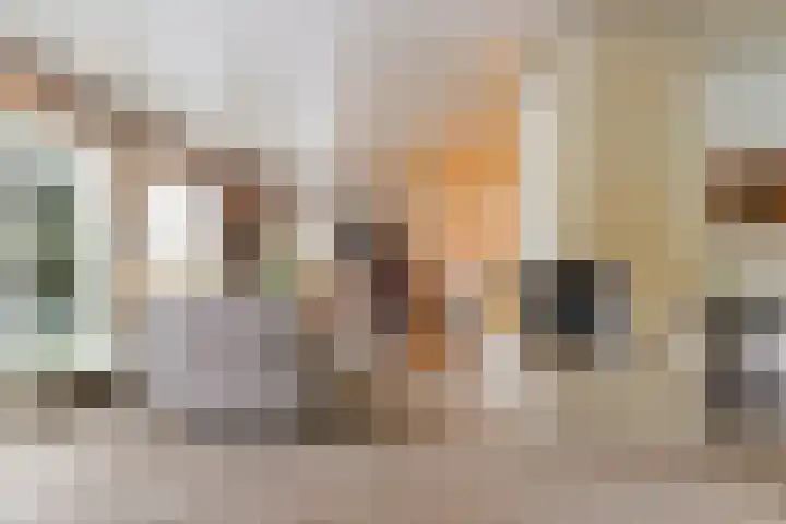 Vierbanse Gantel 3 Tilburg thumbnail 19