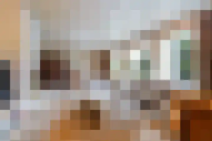 Vierbanse Gantel 3 Tilburg thumbnail 21