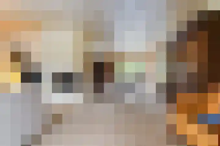 Vierbanse Gantel 3 Tilburg thumbnail 22