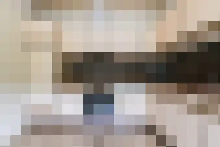Vierbanse Gantel 3 Tilburg thumbnail 25
