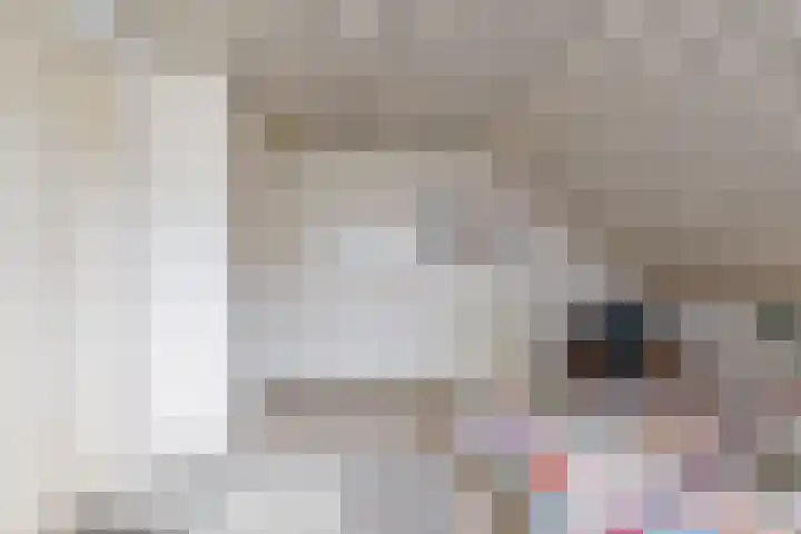 Vierbanse Gantel 3 Tilburg thumbnail 33