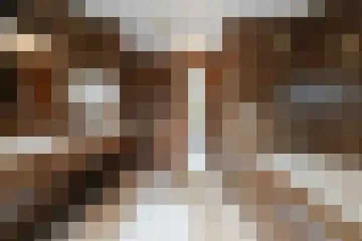 Vierbanse Gantel 3 Tilburg thumbnail 38