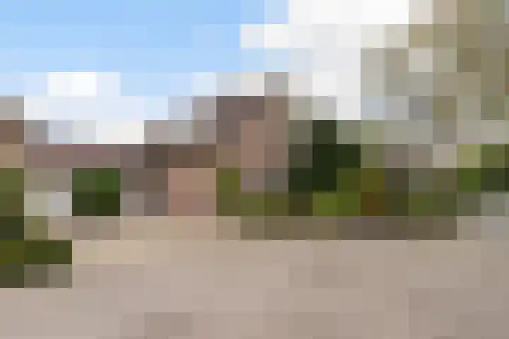 Vierbanse Gantel 3 Tilburg thumbnail 4