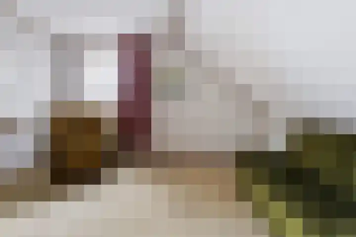 Vierbanse Gantel 3 Tilburg thumbnail 40