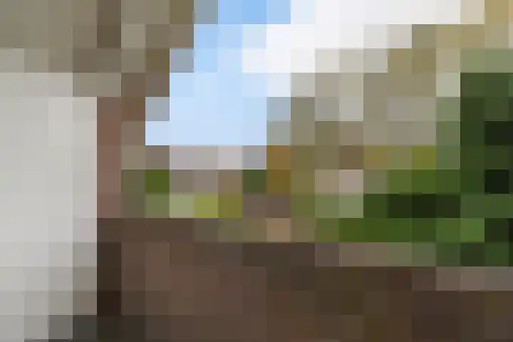 Vierbanse Gantel 3 Tilburg thumbnail 44