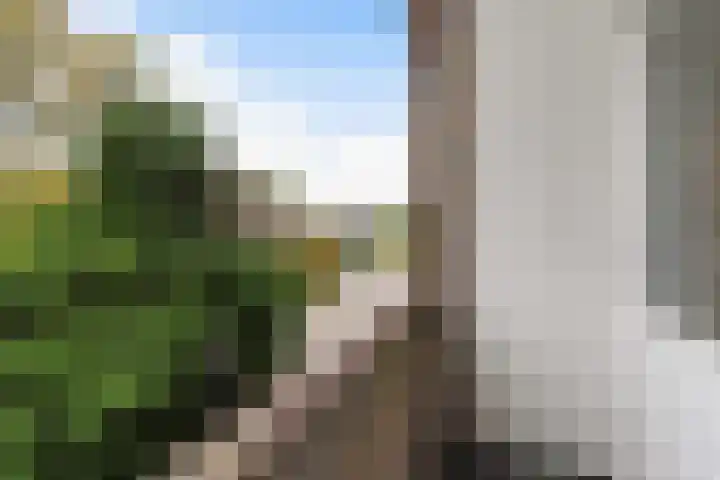 Vierbanse Gantel 3 Tilburg thumbnail 46