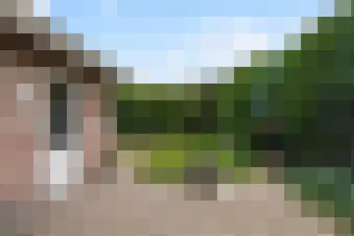 Vierbanse Gantel 3 Tilburg thumbnail 47