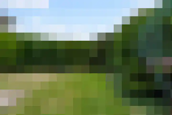 Vierbanse Gantel 3 Tilburg thumbnail 48