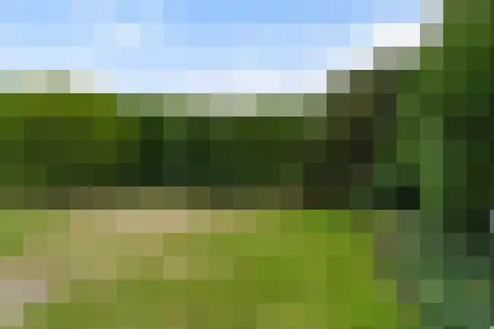 Vierbanse Gantel 3 Tilburg thumbnail 49