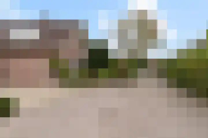 Vierbanse Gantel 3 Tilburg thumbnail 5