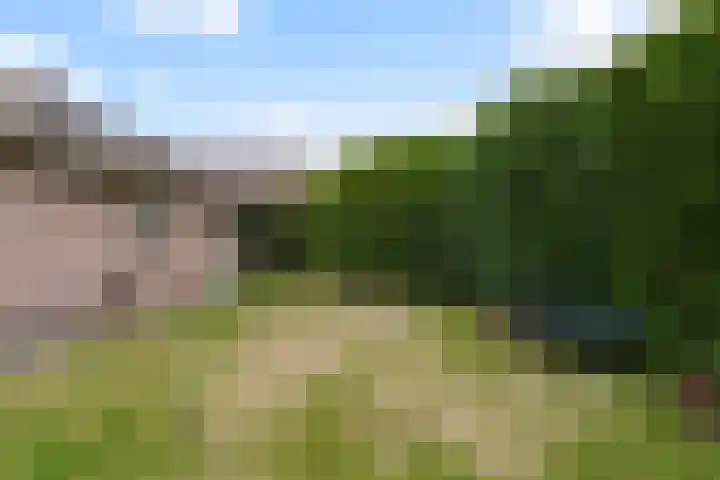 Vierbanse Gantel 3 Tilburg thumbnail 50