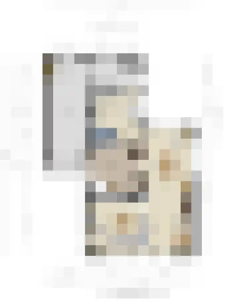 Vierbanse Gantel 3 Tilburg thumbnail 52