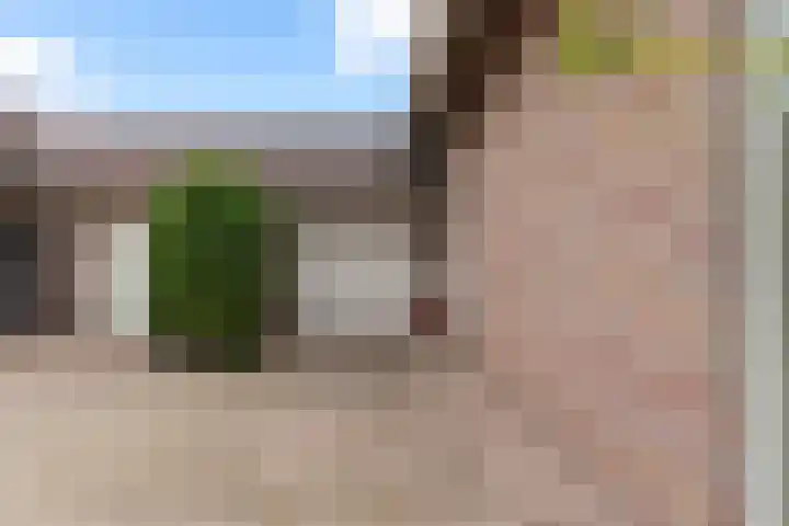 Vierbanse Gantel 3 Tilburg thumbnail 7