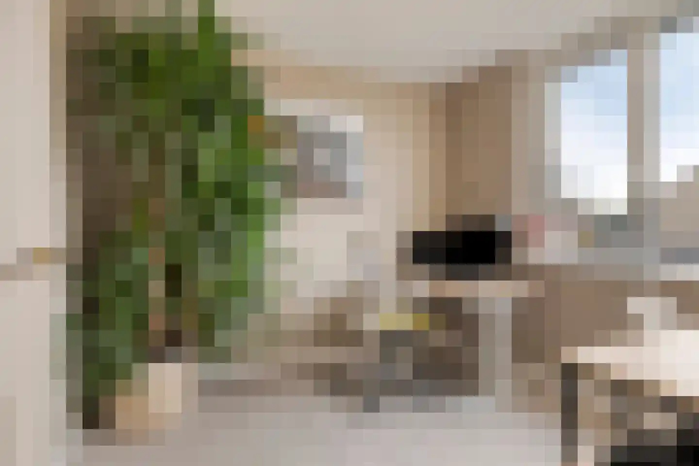 Vierbunder 19 Breda thumbnail 27